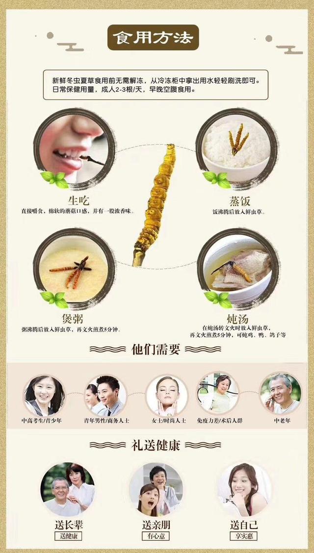 冬虫夏草的用法图片