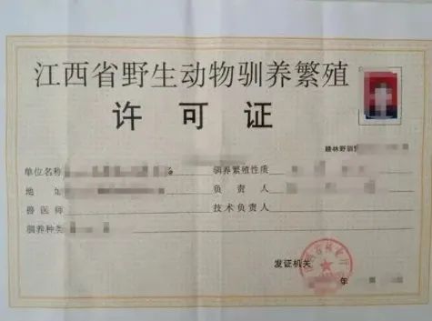 华农兄弟所持有的许可证但现在,特种养殖不等于野生动物的事实已无