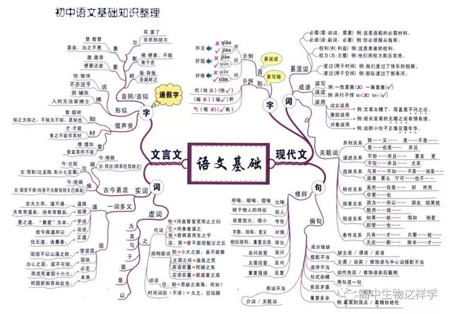 初中思维导图图片大全!物理英语历史生物化学地理(图8)