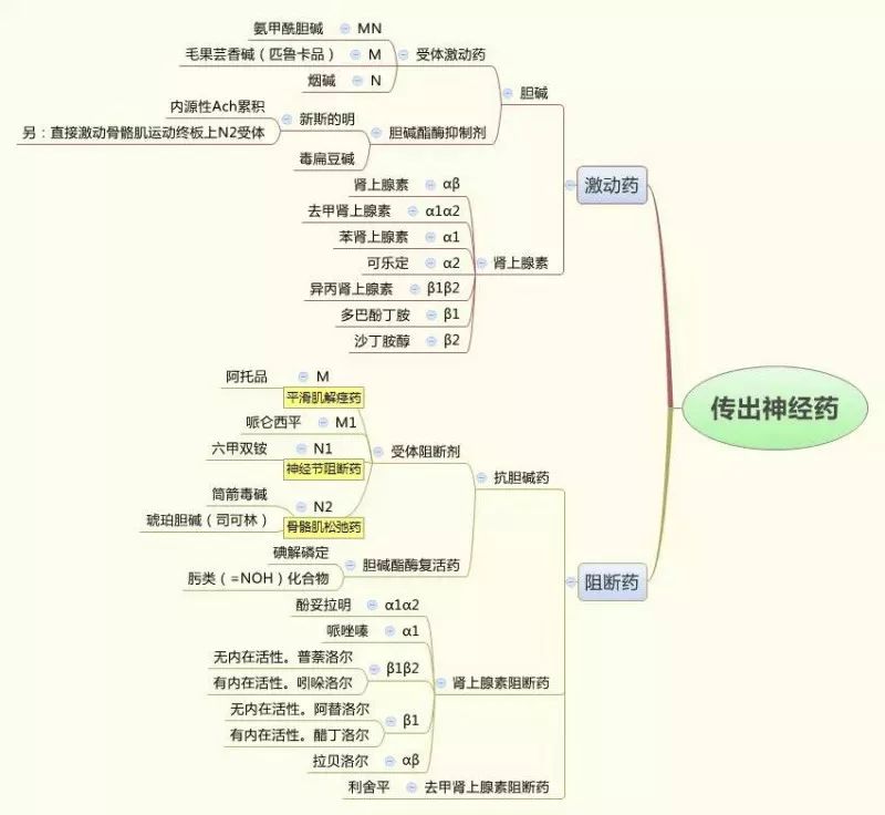 药理学思维导图高清版
