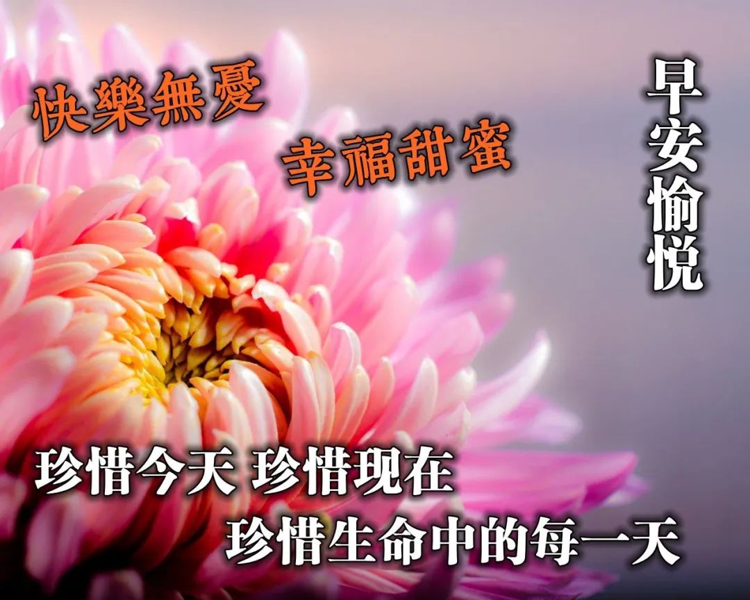 早上好的问候语图片表情大全今日早安图片祝福