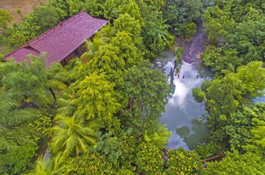 隆苑咖啡莊園100%地選取了原產地——興隆最優質的原豆,從種植,採摘到