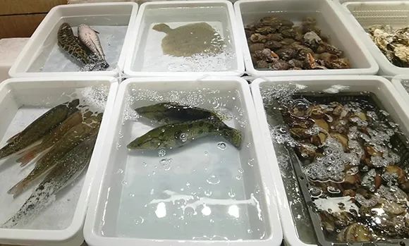 鲜活鱼虾"蹦"上餐桌!太原五龙口海鲜市场全面复工!