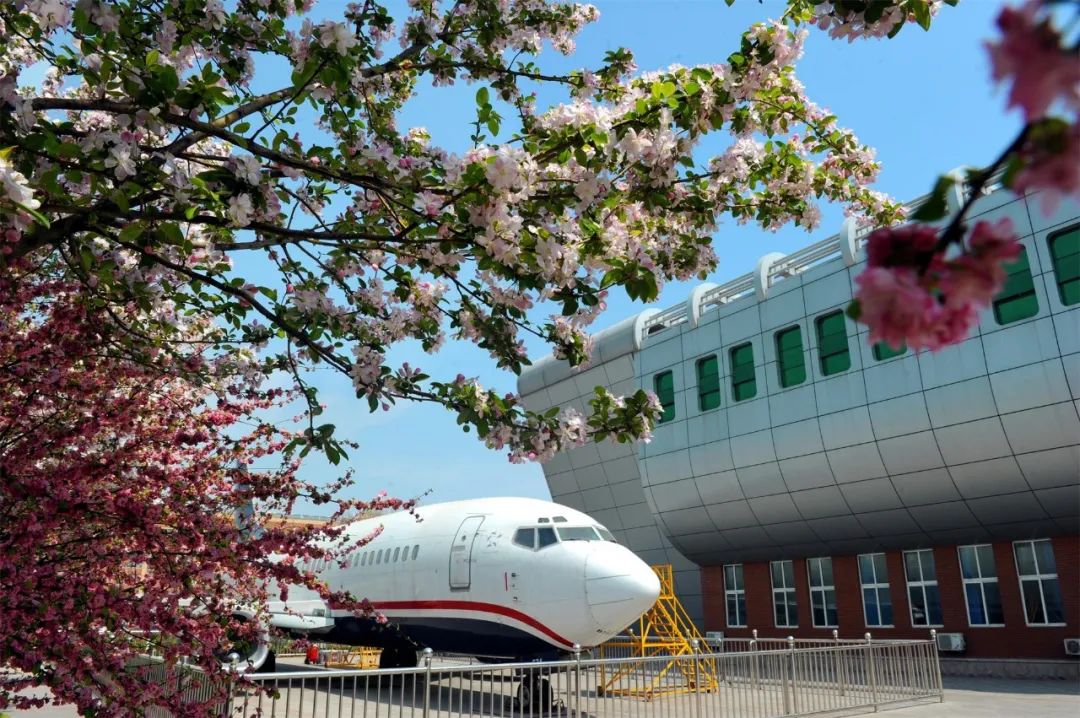 滨州学院摄影 | 齐鲁工业大学(省科学院)党委宣传部井水又到春暖百花