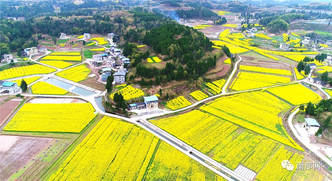 镇玉龙山村,老鸦镇梓潼村,东坝镇杨家嘴村,大清垭村,红山岭村,建兴镇