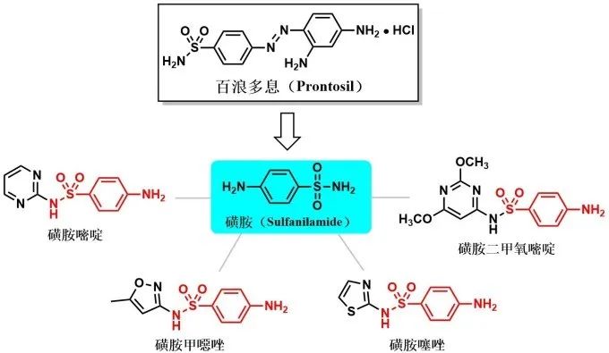 源于染料的抗菌药百浪多息prontosil