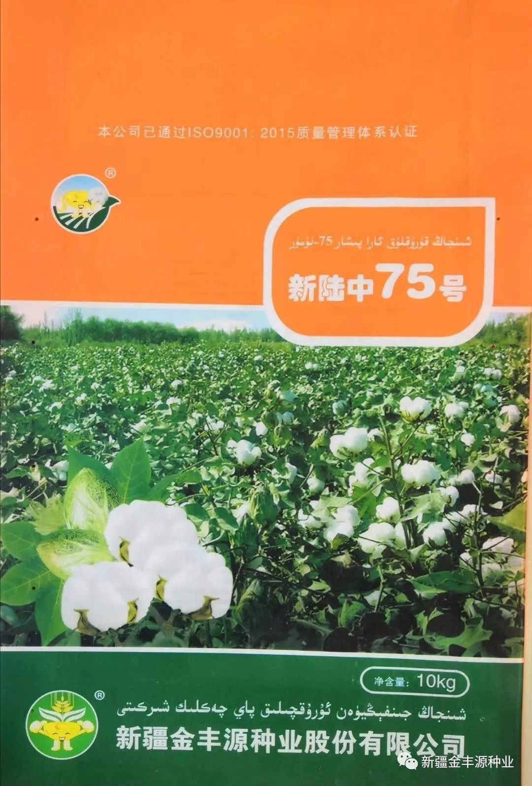 新陆中75号