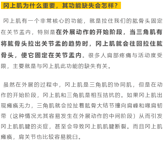 冈上肌冈上肌综合征