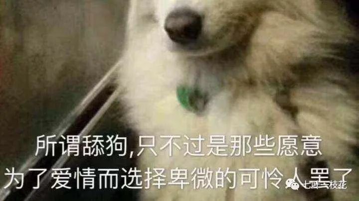 臭宝舔狗语录图片