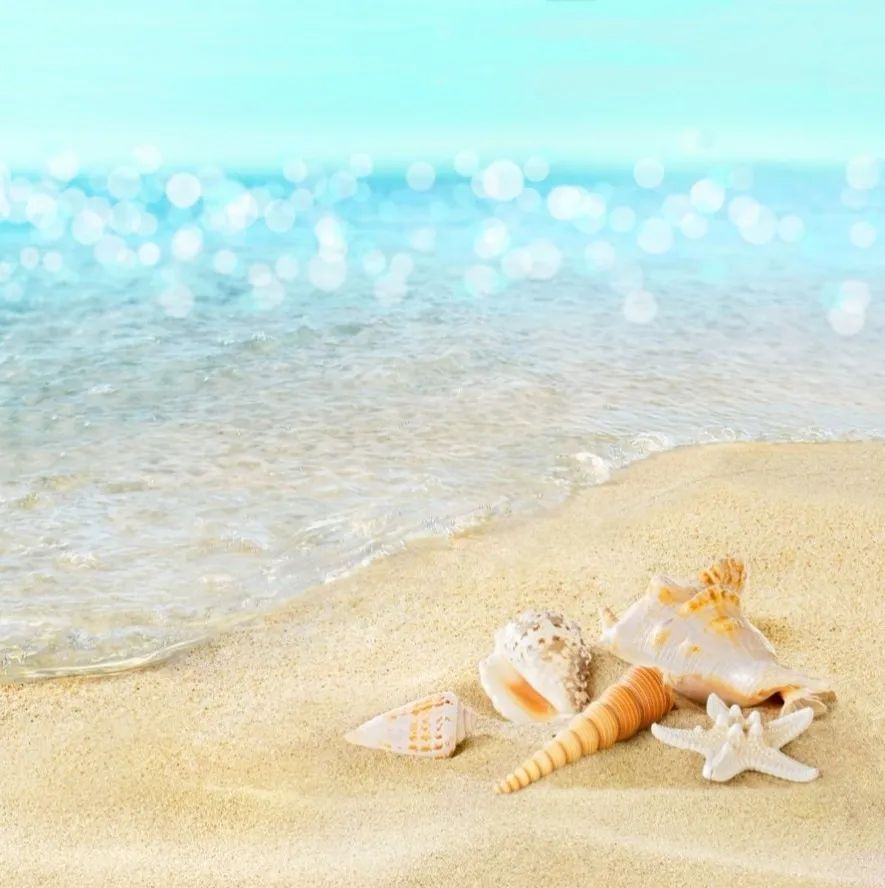 美超马尔代夫的滨海小城海景房在直播间竟然只要26万起