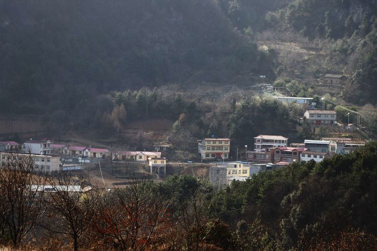 旬阳:春到羊山