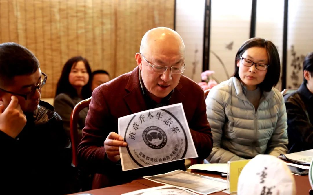 杨凯:普洱茶的魅力在于探索,在于模糊,在于多义