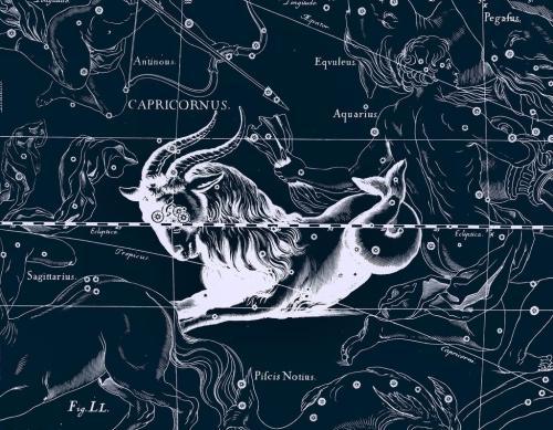 月亮配对月白羊月摩羯相忘于江湖吧