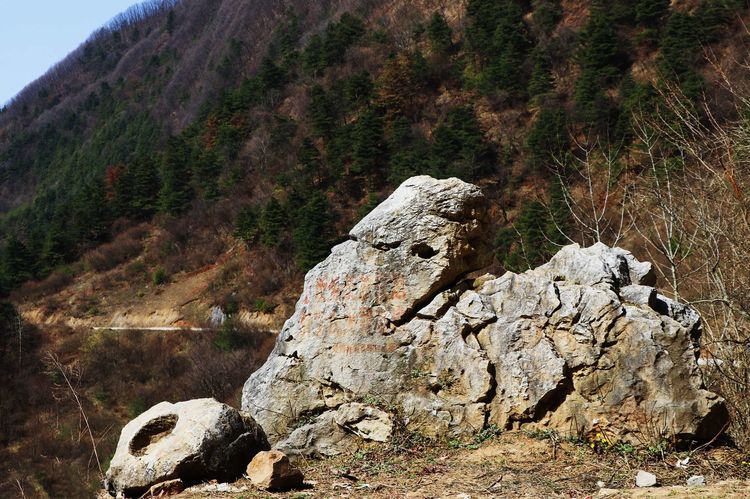 旬阳:春到羊山_旬阳县