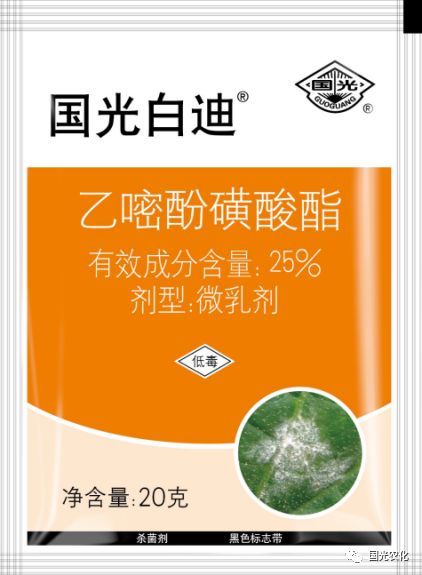 新产品介绍国光白迪治白粉选白迪