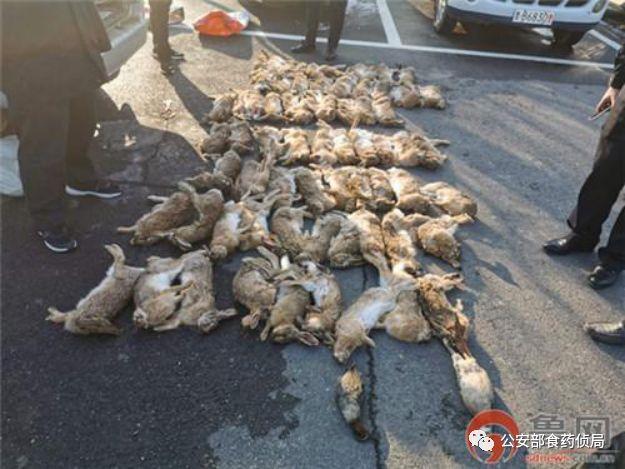 自2019年12月以来,累计卖给程某森野兔110只,野鸡1只,野鸭3只