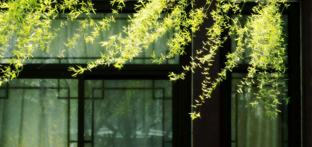 诗词鉴赏春风浩荡满目新古诗词里的春风为你吹开千花万朵