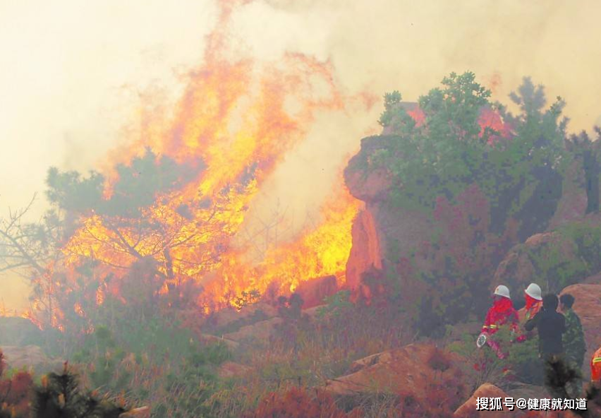 原创青岛崂山突发山火现场火势很大浓烟弥漫