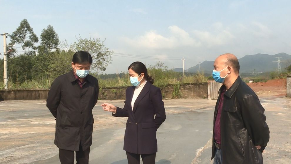 李建华一行来到广西柳城木材加工产业园,详细了解两个片区用地规划