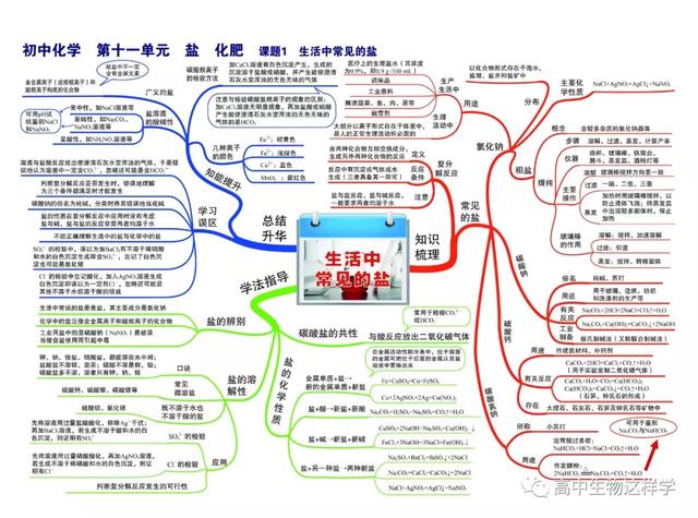 初中思维导图图片大全!物理英语历史生物化学地理(图112)