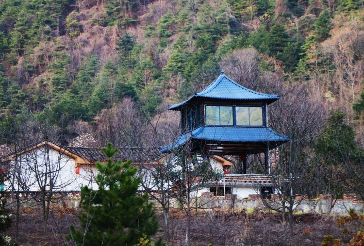 旬阳:春到羊山_旬阳县