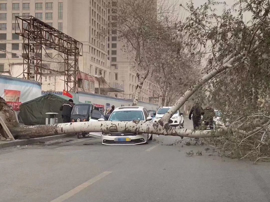 十级妖风肆虐京城人被吹飞房子上天车被砸