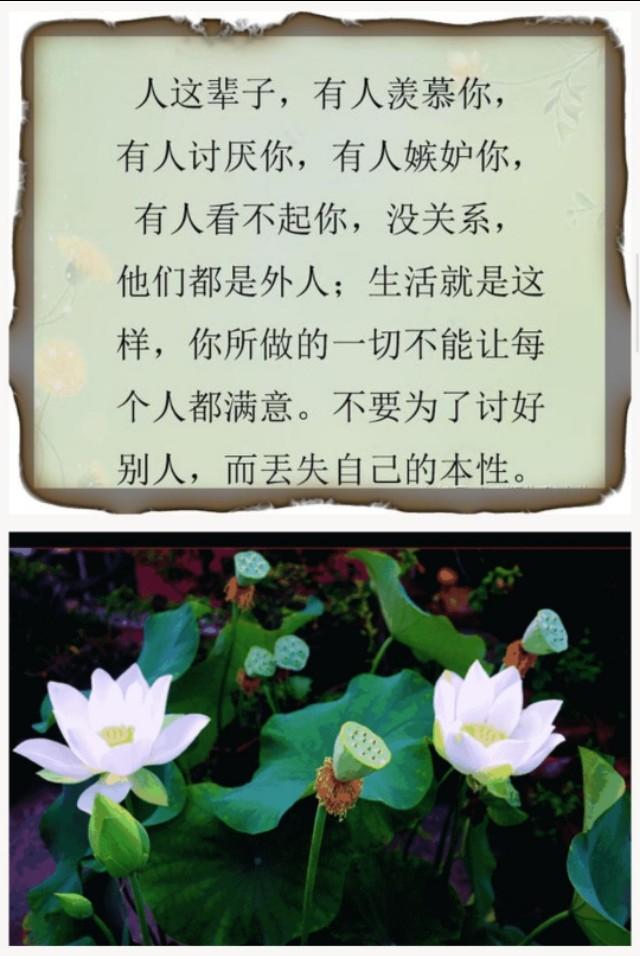 人生没有来世,只是贪念一辈子.没有永远,只有最后,白发依老.