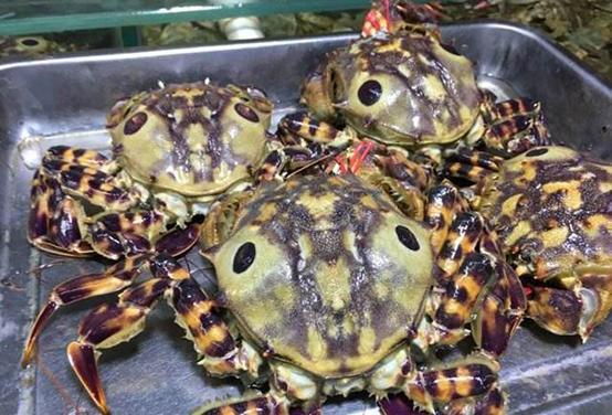 有朋友纠正叫虎头蟹子(学名确实叫中华虎头蟹),也许是家人地方口音