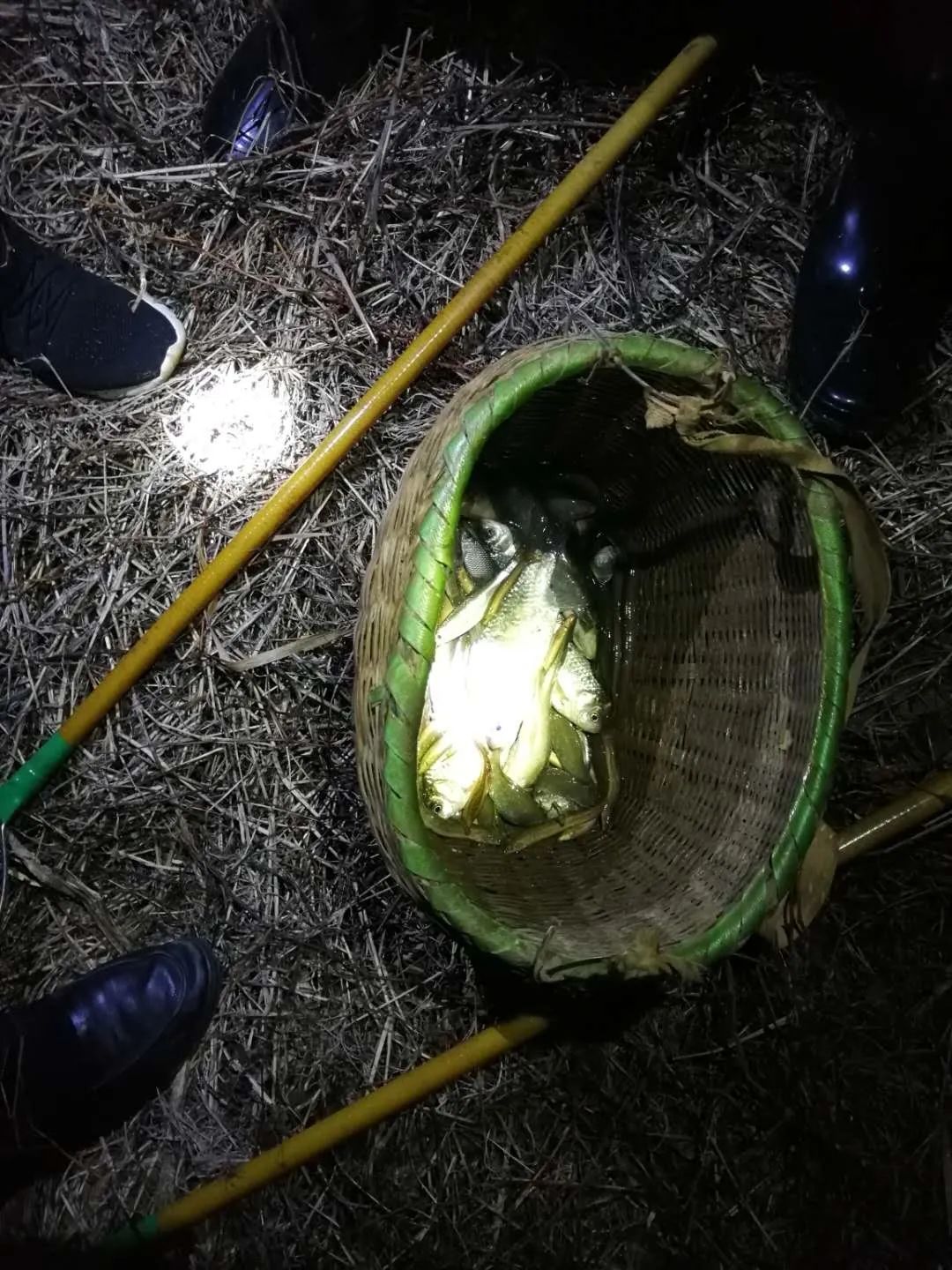 电鱼违法!余干公安抓获多名违法嫌疑人!_捕捞