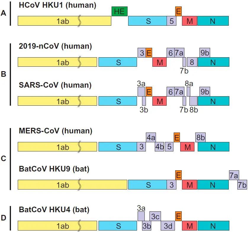 新冠病毒最新组学研究结果文献汇总_序列