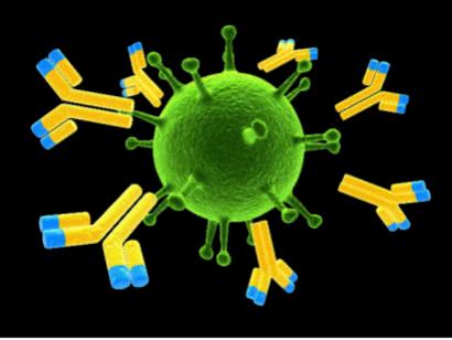 搜狐醫藥 | sciencemag: 新冠抗體測試可大幅提高檢測效率,但尚未廣泛