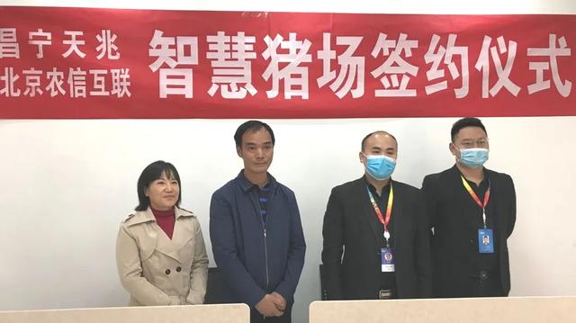 昌宁天兆企联网智慧养猪新实践