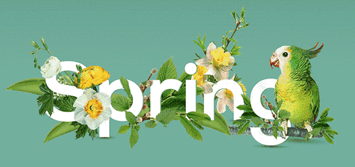 主编寄语希望是看见此刻的方式