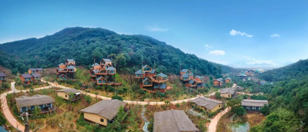 杭州开元森泊丨06699起住网红木屋芙罗拉花园打卡现实版爱丽丝仙境