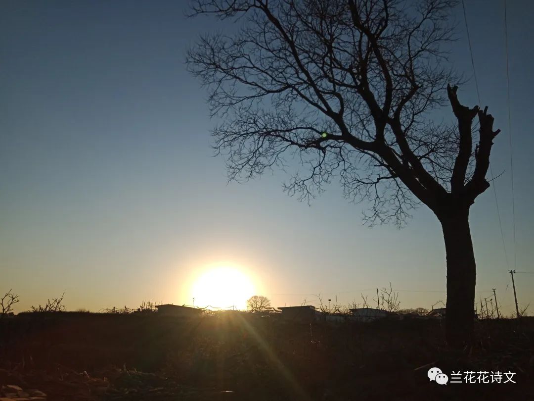 就恋这把黄土地