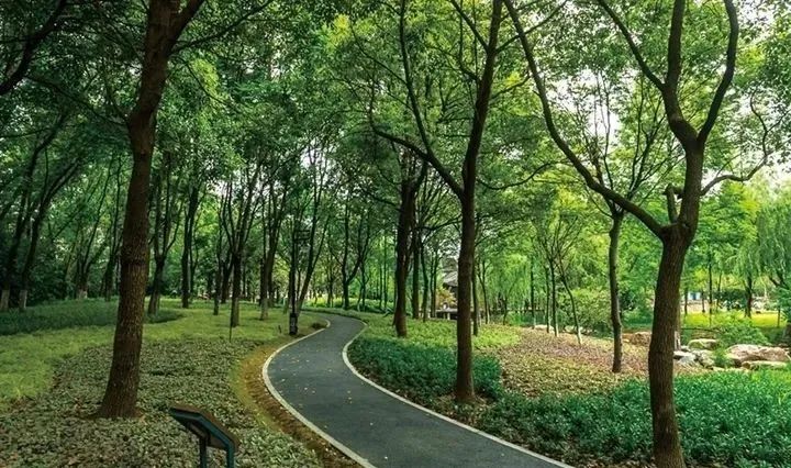 去濠河边漫步如今绿道贯通真正实现了人在画中游