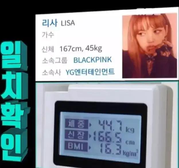 lisa身高167,体重45kg,bmi16.3,有着9头身的绝好身材比例.