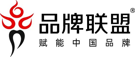 品牌联盟财报:2019年营收1.64亿,净利润2513万元