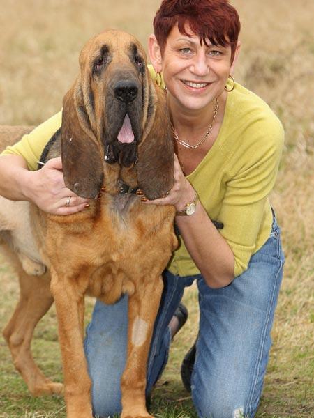 世界上几只有奇遇故事的狗狗_杜比