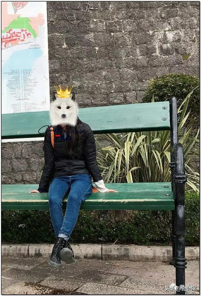 意外塞尔维亚总统身高上热搜对中国人长高有何启示