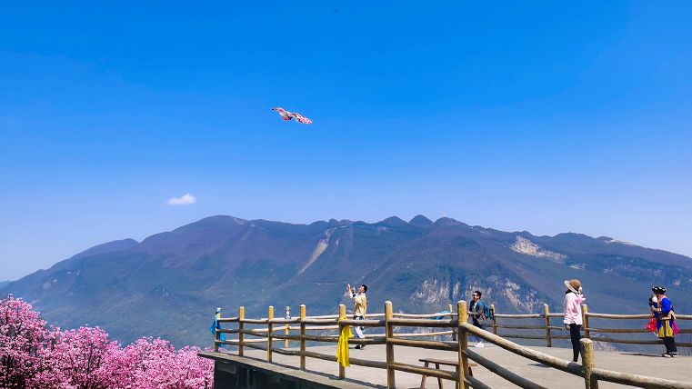 赏辛夷看表演九皇山花溪景一站式搞定你的周末出行
