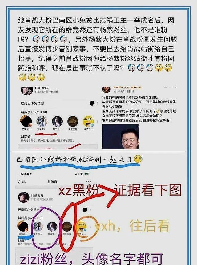 肖战被"自己人"致命一击!巴南区小兔赞比卧底身份被曝光?