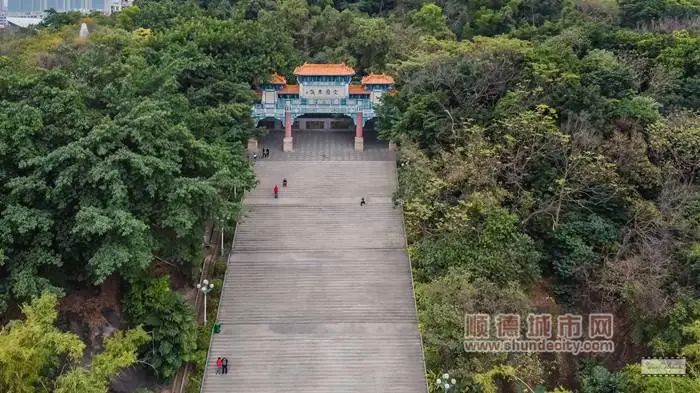 5米.这个让容桂街坊赞不绝口的地方便是大凤山公园.