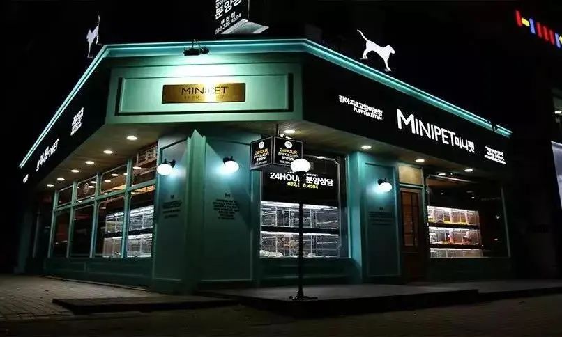研究宠物店的视觉观,治愈店老板的"差异化焦虑"
