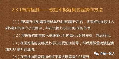 二,是利用牛羊布病快速檢測卡或布病試紙盒,自己檢測.