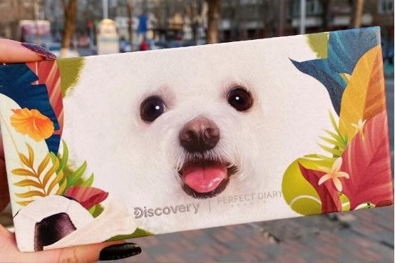 的东西鸭~酸归酸,但never还是很上相的,把狗狗的软萌感表现得淋漓尽致