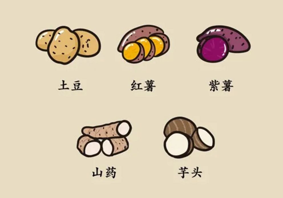 提高免疫力跟shuppa一起健康饮食