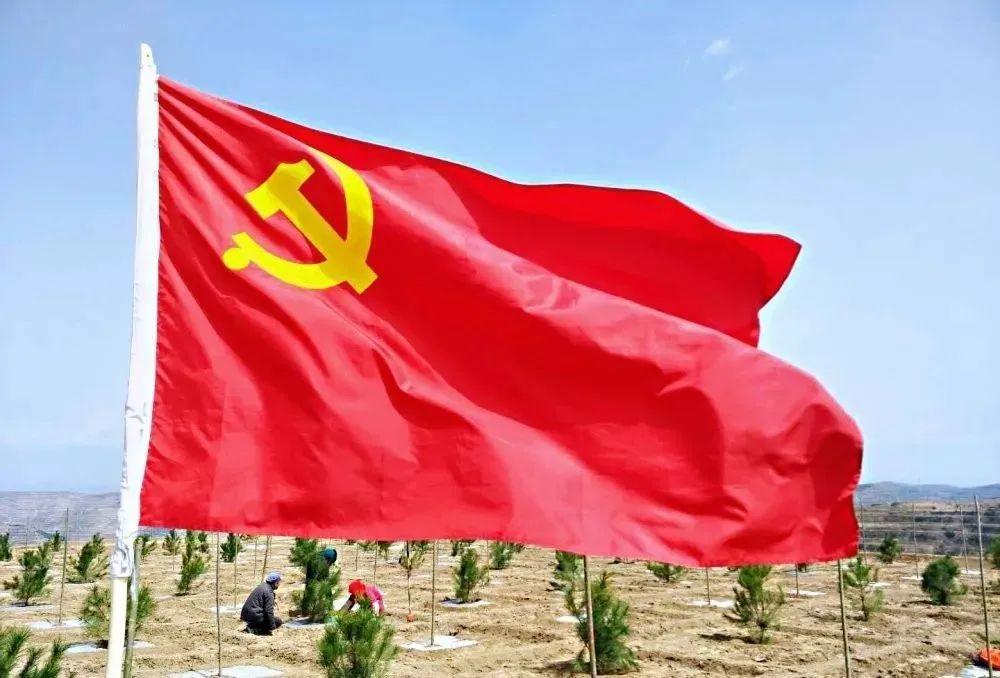 原创甘肃庄浪县柳梁梯田党旗红生态绿植谋发展生态造林纪实