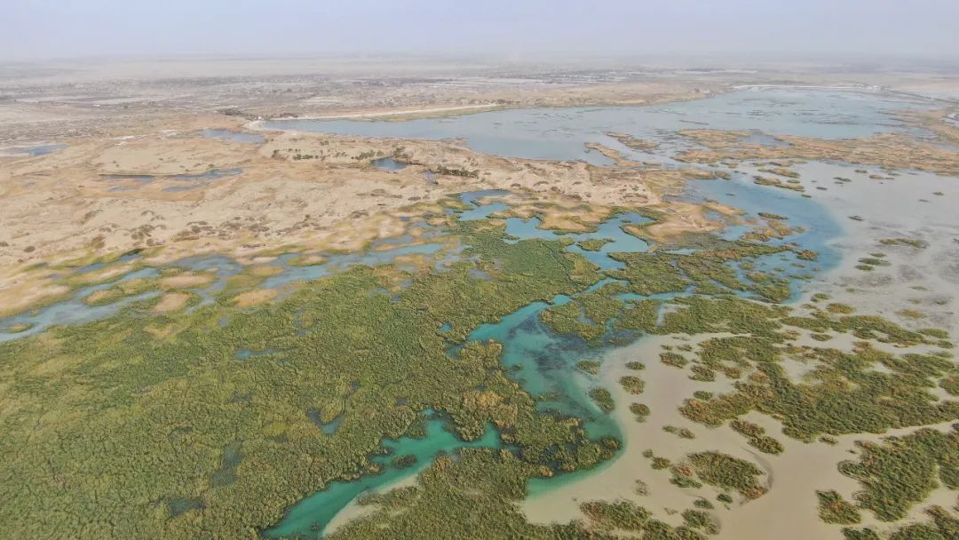 你不知道的罗布泊罗布之魂第四集罗布泊如果还活着就是这个样子