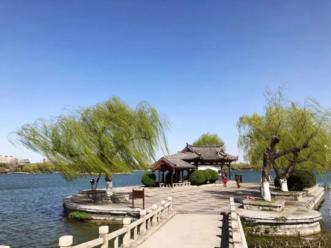 春分雨脚落声微柳岸斜风带客归